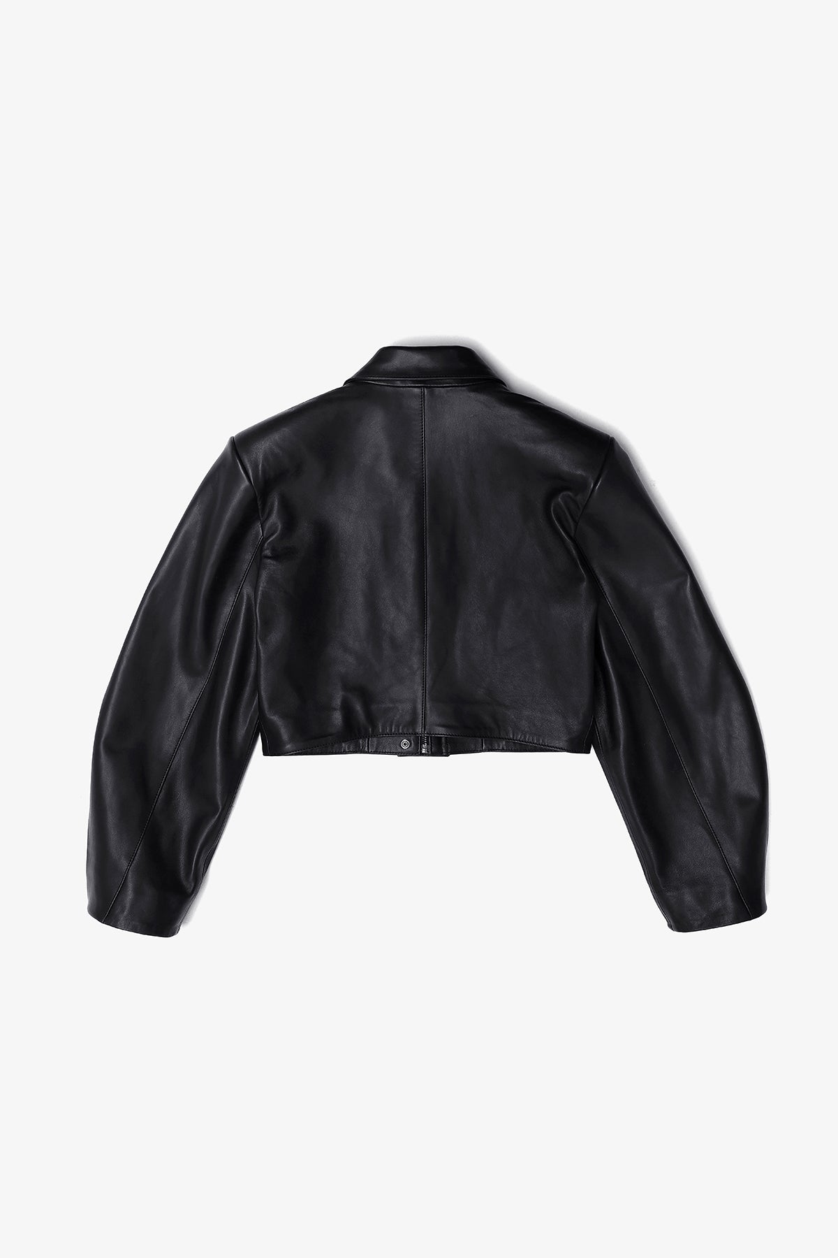 Iris jacket (2006/1)